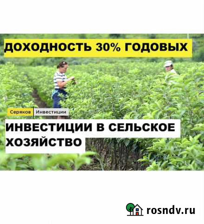 Инвестиции в действующий бизнес.25-30 годовых Санкт-Петербург - изображение 1