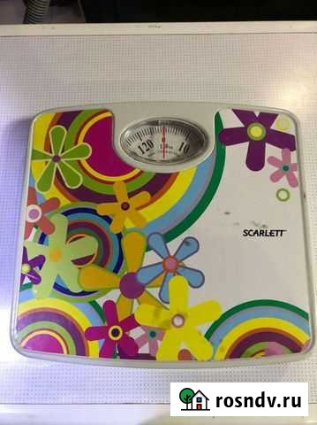 Весы напольные Благовещенск - изображение 1