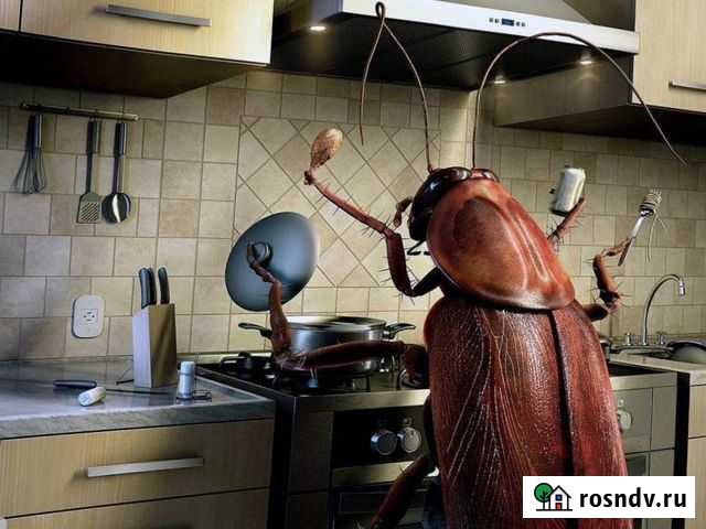 Уничтожение “домашних” насекомых и прочее Кунгур - изображение 1