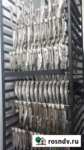 Цех по производству вяленой и копченой рыбы Армавир - изображение 1