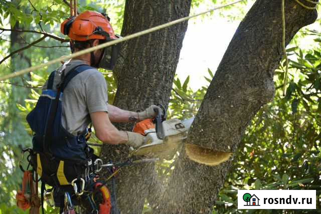 Спил деревьев, уборка участков, покос травы Владикавказ - изображение 1