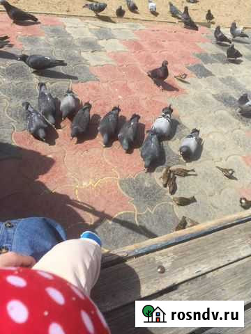 Няня для ребенка Астрахань - изображение 1