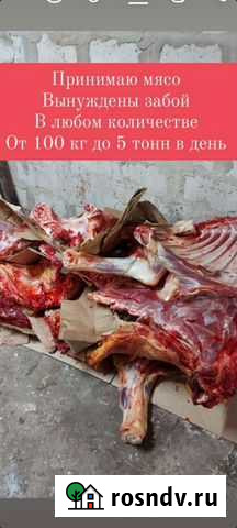 Мясо 320 Тамбов - изображение 1