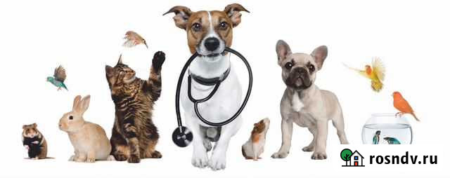 Ветеринарный врач Тюмень - изображение 1