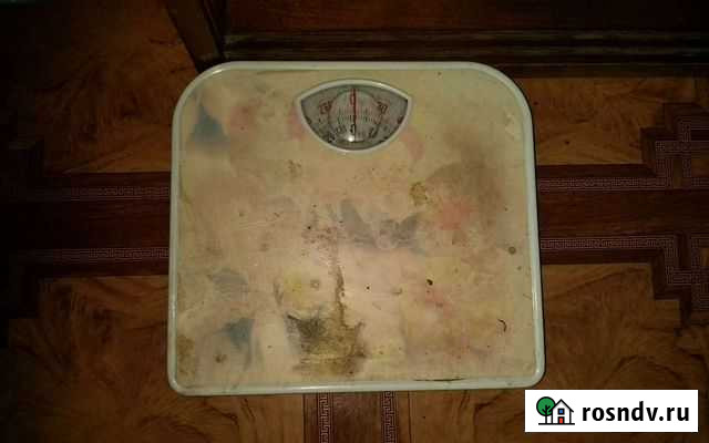 Весы напольные механические Алексин - изображение 1