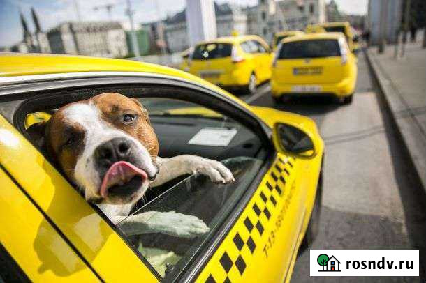 Зоотакси круглосуточно 24/7 Рязань - изображение 1