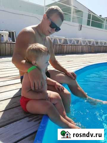 Трезвый водитель в новый год Симоненко - изображение 1