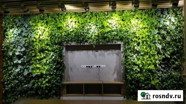 Озеленение, цветы в интерьере, уход и обслуживание Москва - изображение 1