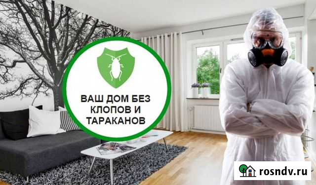 Уничтожение тараканов,клопов,клещей,запахи Волжский - изображение 1