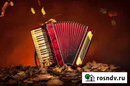 Баянистка-ведущая+диджей Весело Вологда - изображение 1