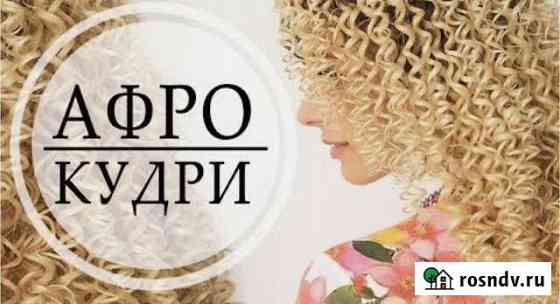 Афрокудри / Петрозаводск Петрозаводск