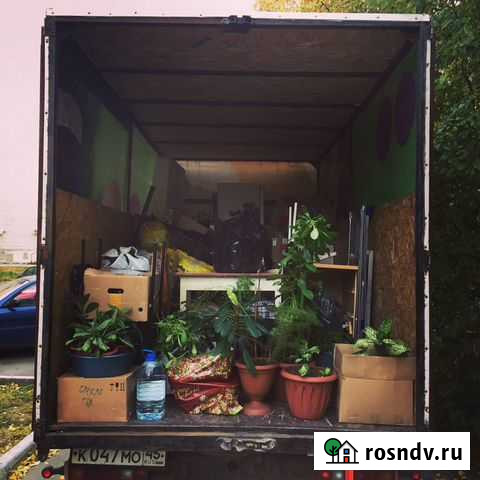 Грузоперевозки - Переезды Курган - изображение 1