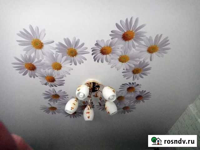 Экологичные натяжные потолки Махачкала - изображение 1