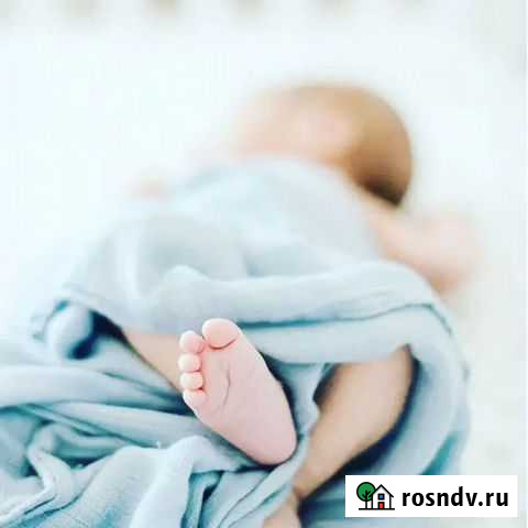 Фотосьемка новорожденных Бийск - изображение 1