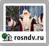 Дед Мороз и Снегурочка Москва