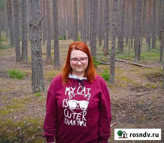 Репетитор по русскому языку/фортепиано Мурино - изображение 1