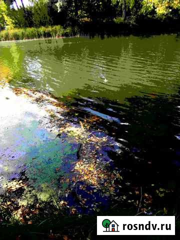 Репетитор по химии и биологии егэ /огэ Курск - изображение 1