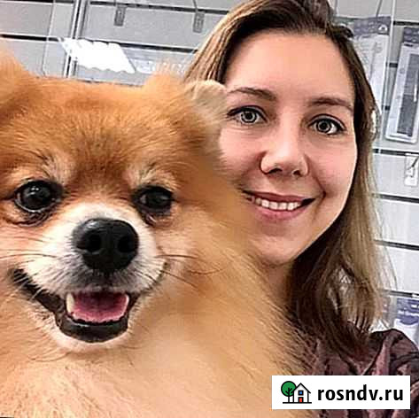 Стрижка собак и кошек сегодня в любой район Екатеринбург - изображение 1