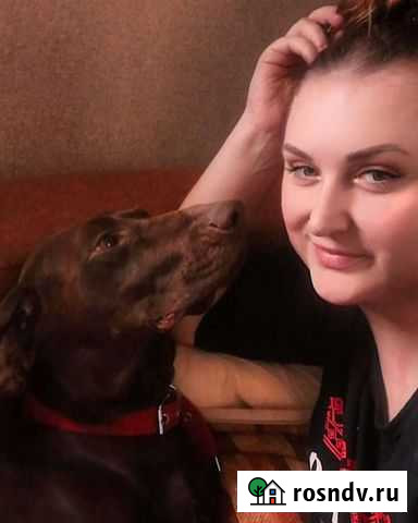 Догситер для Вашего питомца(Передержка питомцев) Краснодар - изображение 1