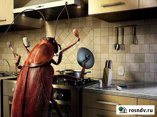 Уничтожение насекомых Александров - изображение 1