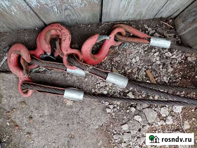 Паук Бузулук - изображение 1