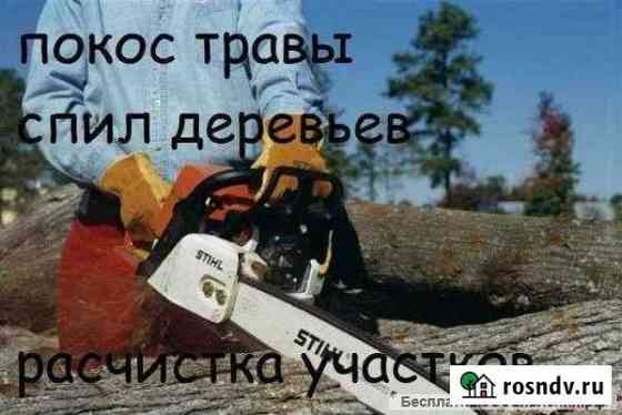 Покос травы и спил деревьев Приморка