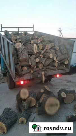 Дрова акация Дубовское - изображение 1