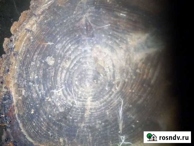 Дрова Средняя Ахтуба - изображение 1