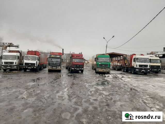 Услуги лесовоза, сортиментовоза Сыктывкар - изображение 1