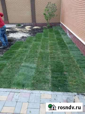 Дача,сад Короча - изображение 1