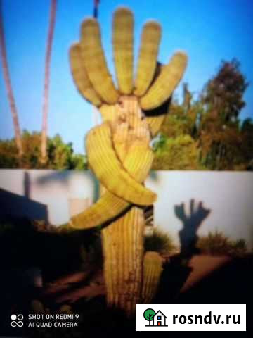 Депиляция Ессентуки - изображение 1