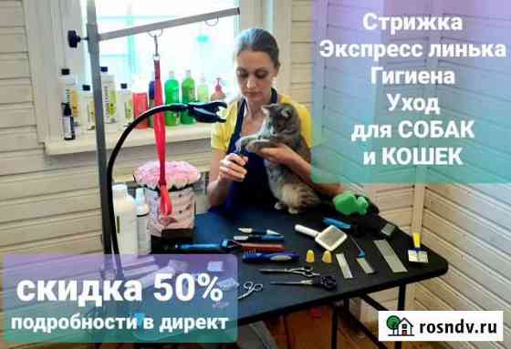 Стрижка собак и кошек Александров