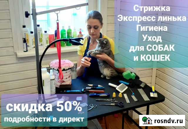 Стрижка собак и кошек Александров - изображение 1