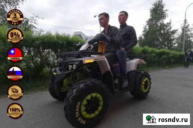 Квадроцикл promax wild 300 LUX Краснотурьинск - изображение 1