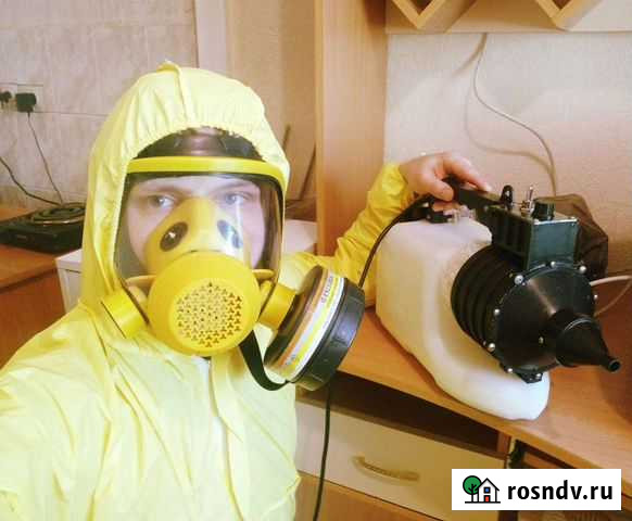 Уничтожение насекомых Рязань - изображение 1