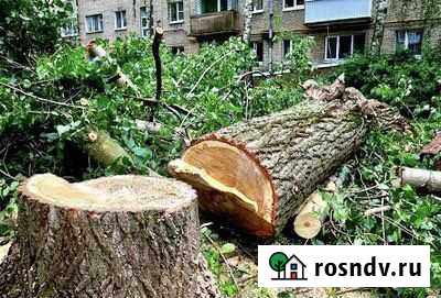 Спил деревьев, опрыскивание Астрахань - изображение 1
