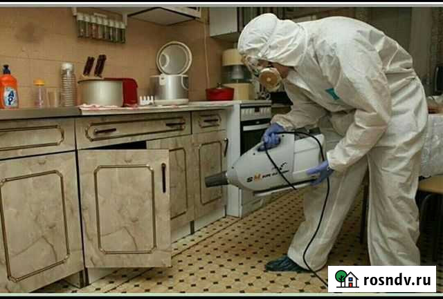 Обработка от клопов,тараканов, муравьёв,комаров Каспийск - изображение 1