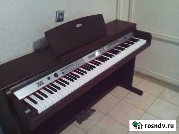 Medeli DP263 цифровое пианино + смартфон в подарок Новосибирск - изображение 1