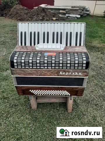 Аккордеон Агидель - изображение 1