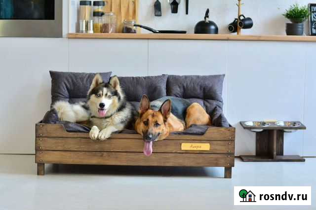 Фотосессия Барнаул - изображение 1