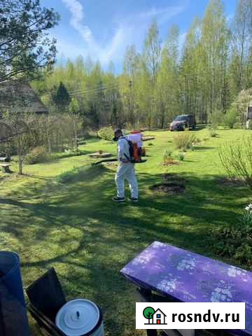 Обработка от клещей и комаров Алупка - изображение 1