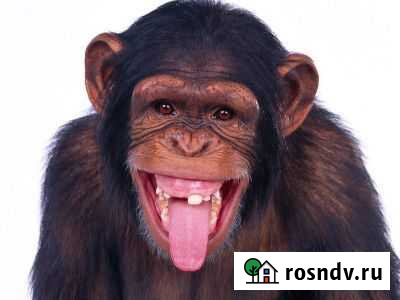 Эпиляция / Депиляция сахаром / Шугаринг Самара - изображение 1