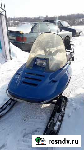 Снегоход Рысь Долгое - изображение 1