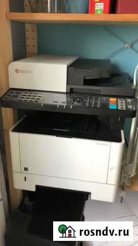 Аренда мфу принтера Санкт-Петербург - изображение 1