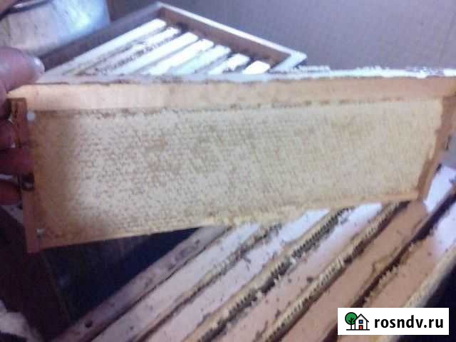 Мёд в сотах и разливной Белев - изображение 1