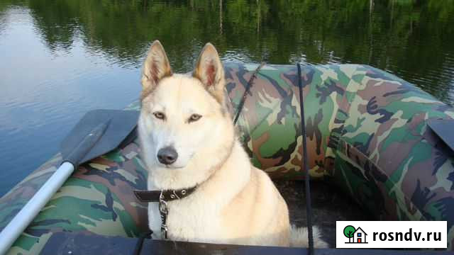 Нордик-про 330 с тентом Воронеж - изображение 1