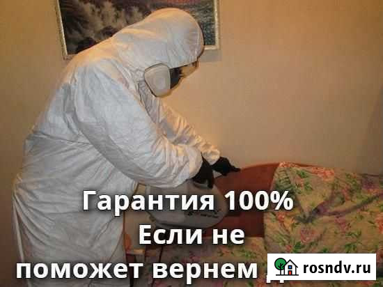 Уничтожение клопов, обработка от тараканов Томск - изображение 1