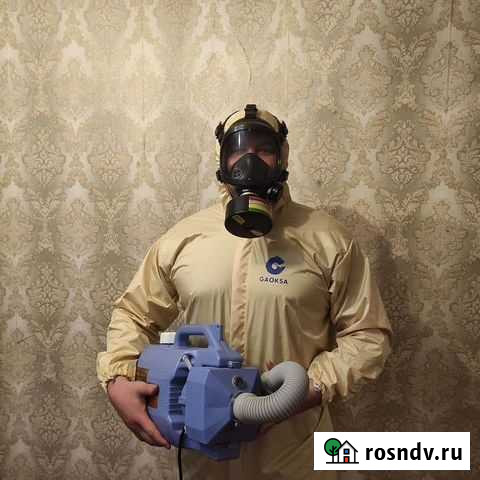 Уничтожение клопов, травить тараканов. Дезинфекция Оренбург - изображение 1