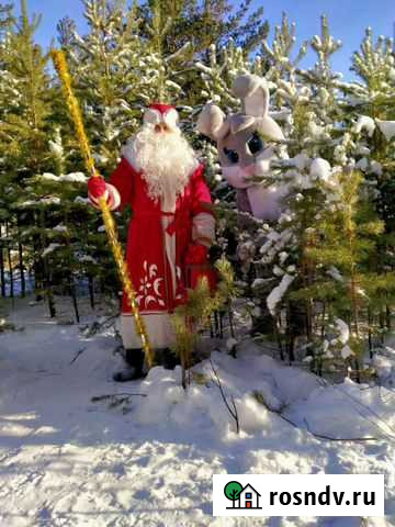 Дед Мороз, Снегурочка и очаровательный Зайка) Улан-Удэ - изображение 1