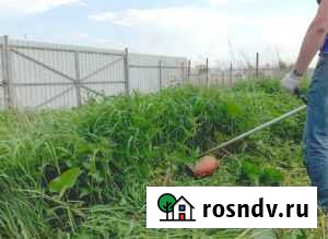 Покос травы, бурьяна, сухостоя Вологда - изображение 1